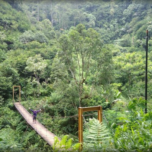 Paket Wisata "Exploring Nature" di Taman Hutan Raya Ir. Juanda (Bandung)
